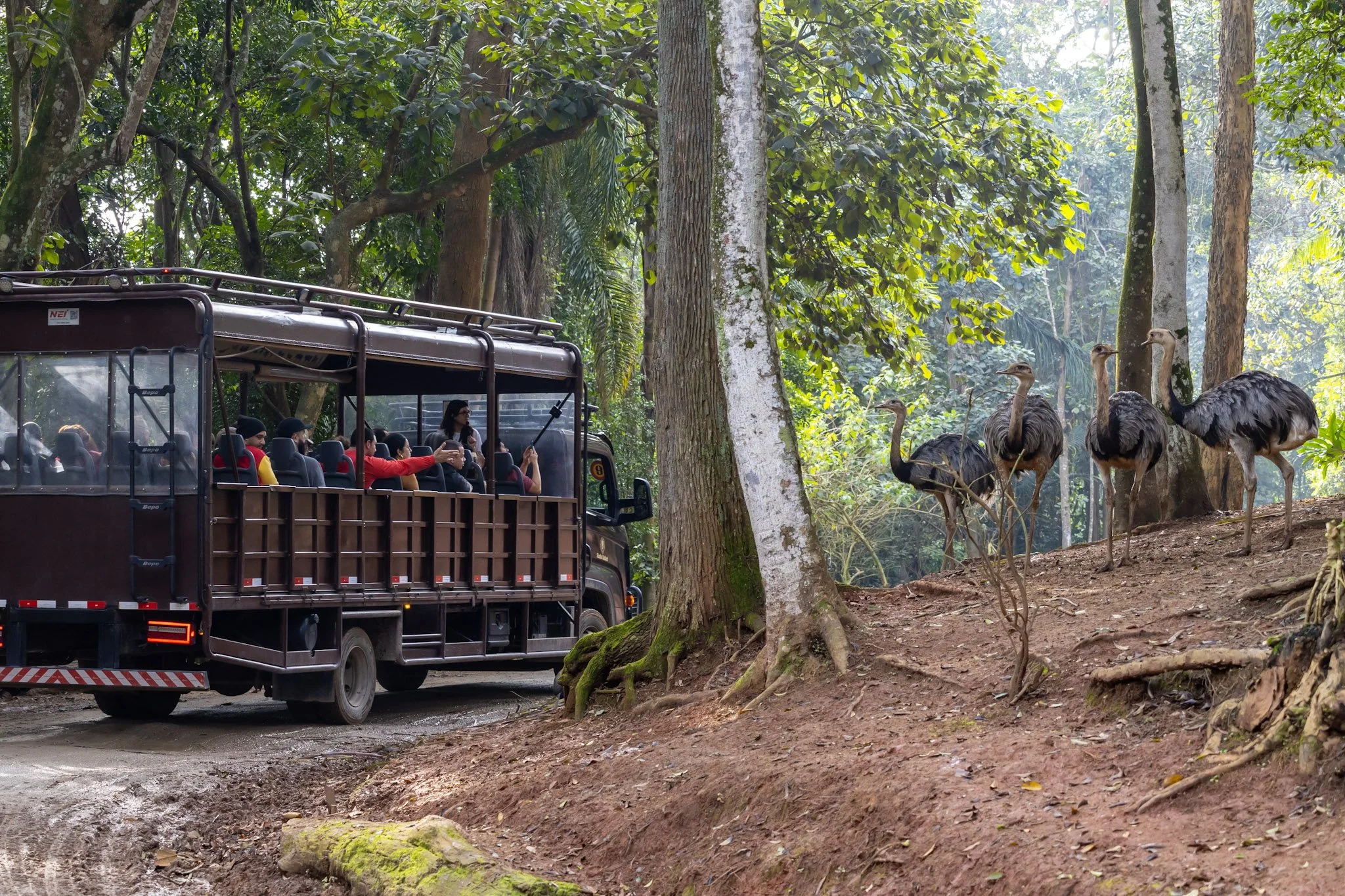 Inside Latin America’s Largest Zoo & Safari Experience