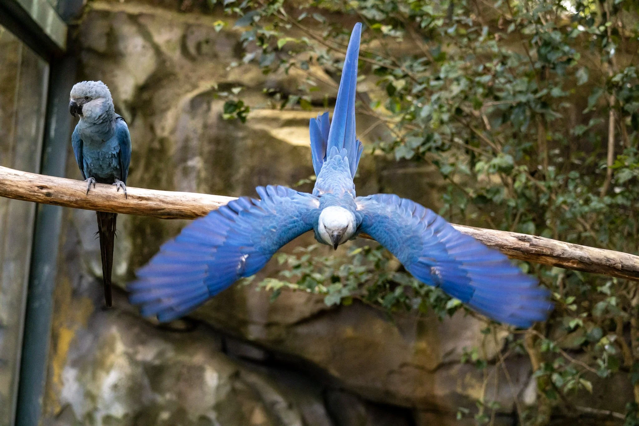 Inside Latin America’s Largest Zoo & Safari Experience