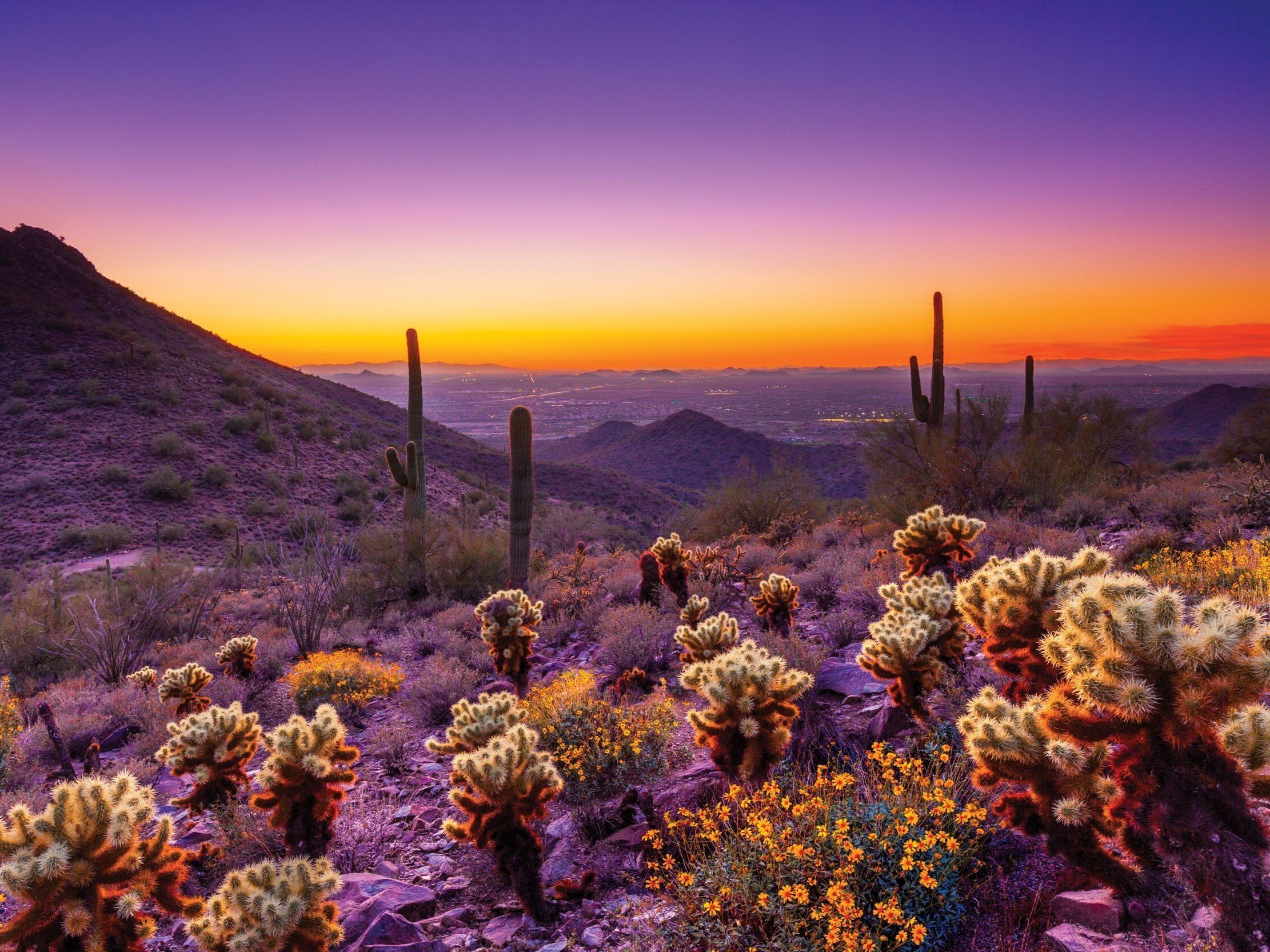 The Top 5 Reasons to Visit Scottsdale, Arizona Now