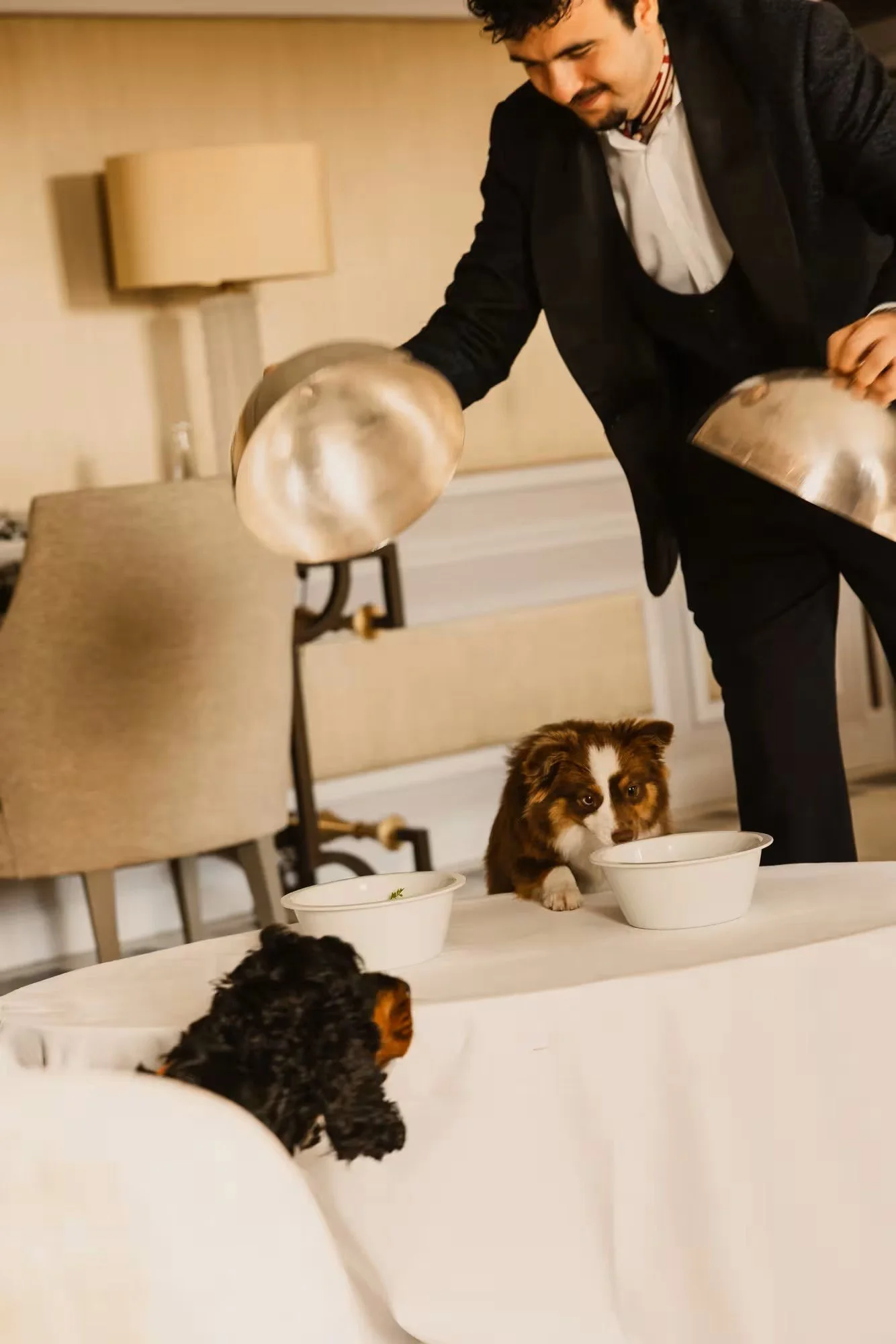 Pet in-room dining at Hôtel de Crillon, A Rosewood Hotel