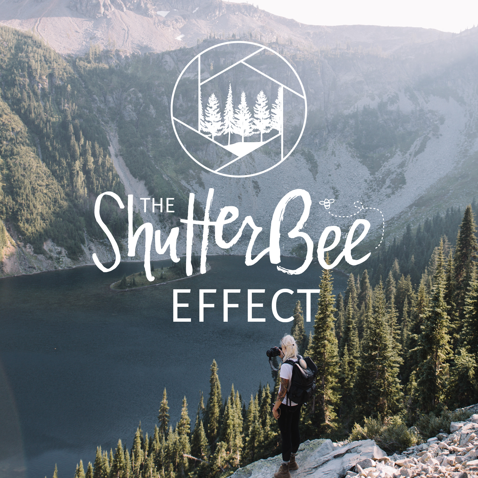 The ShutterBee Effect