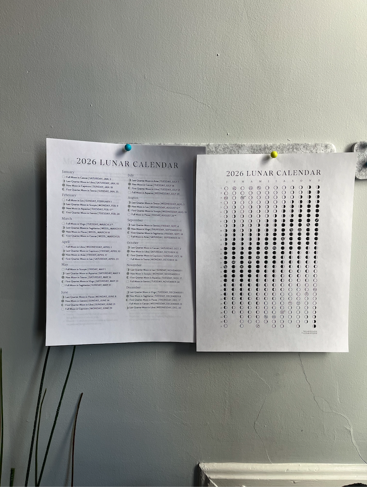 Screenshot 2026-01-22 at 2.08.19 PM.png