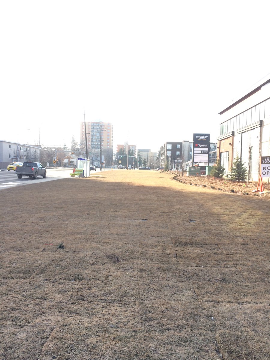 Sidewalk at far left, sod moat at middle, back end of buildings at far right. Walkability is about making places that are nice to walk along. This is a good example of how not to achieve that. 