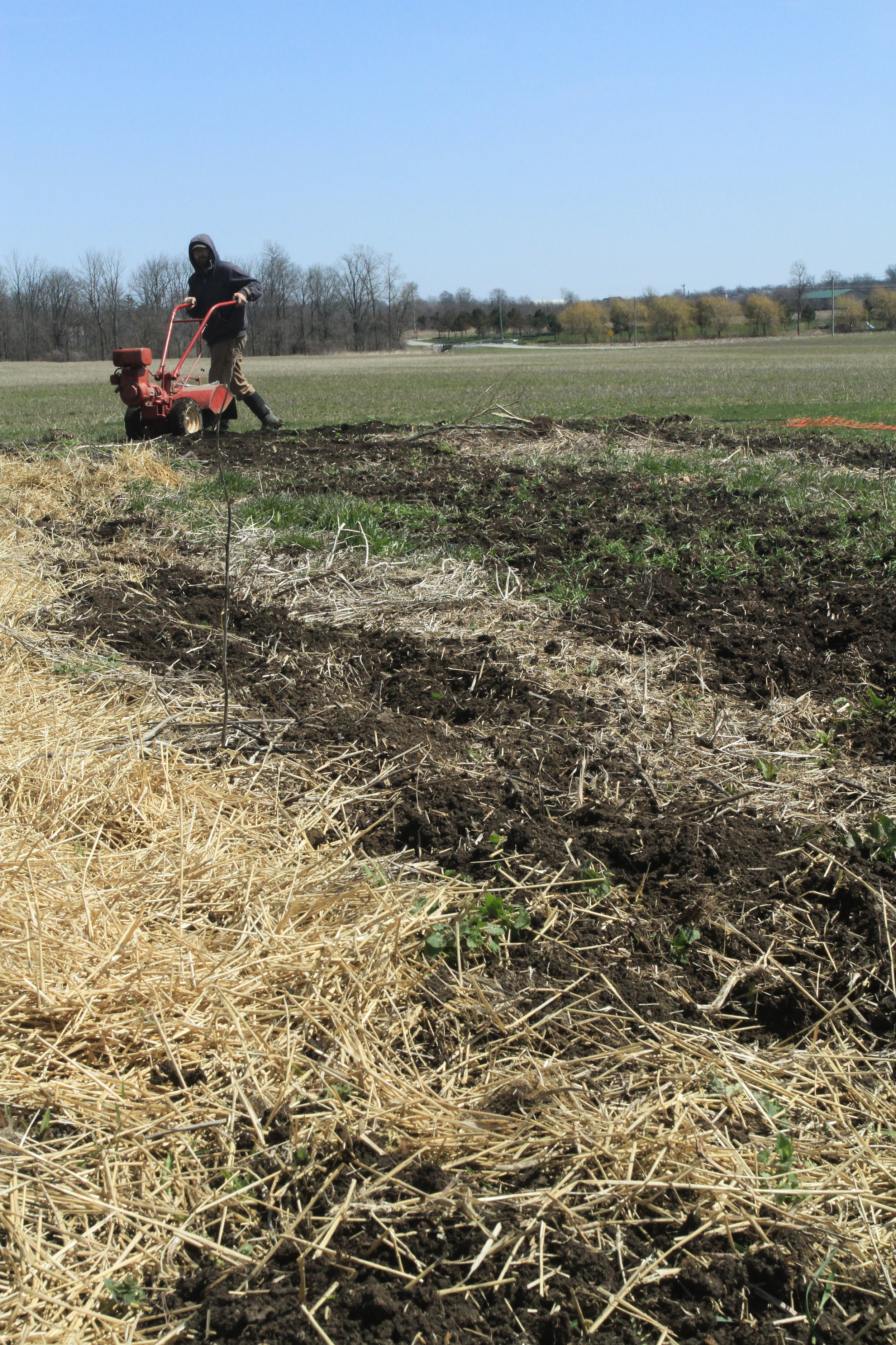  Matt getting one of the gardens tilled and onions planted. 