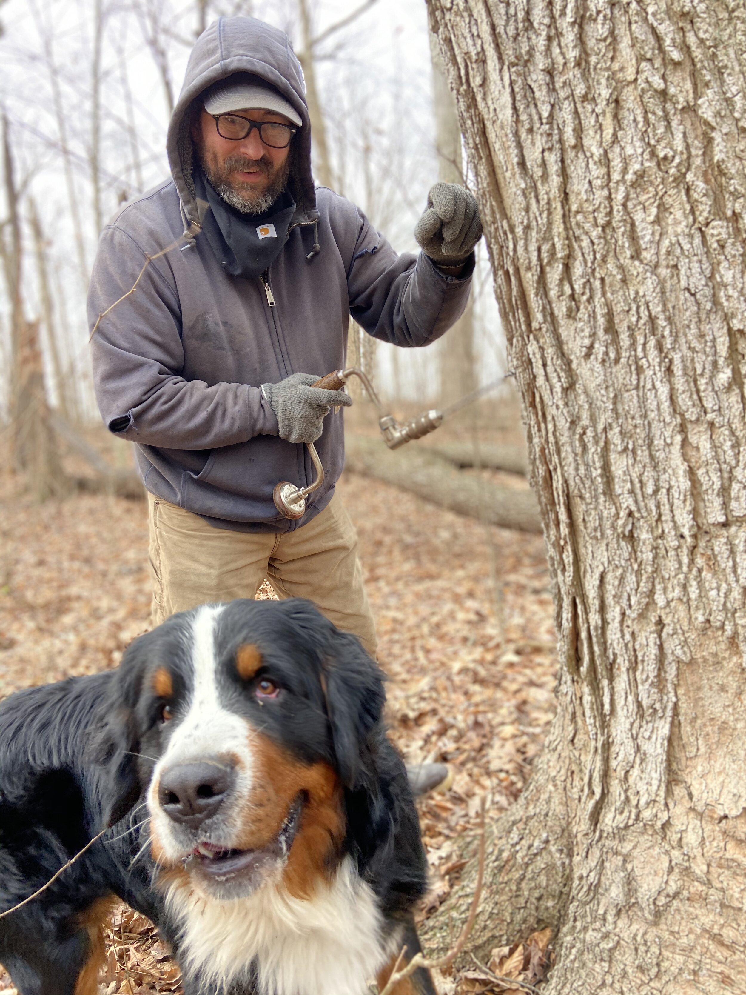 Matt and Gris tapping trees Jan 2020.jpg