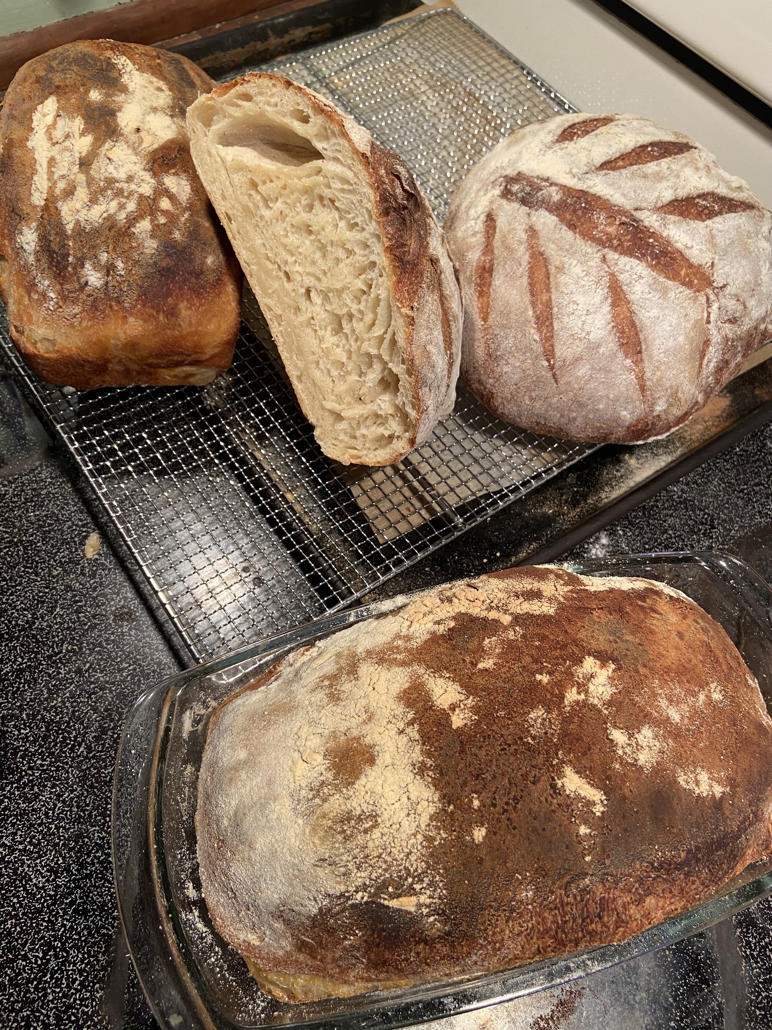 The Sourdough trials continue