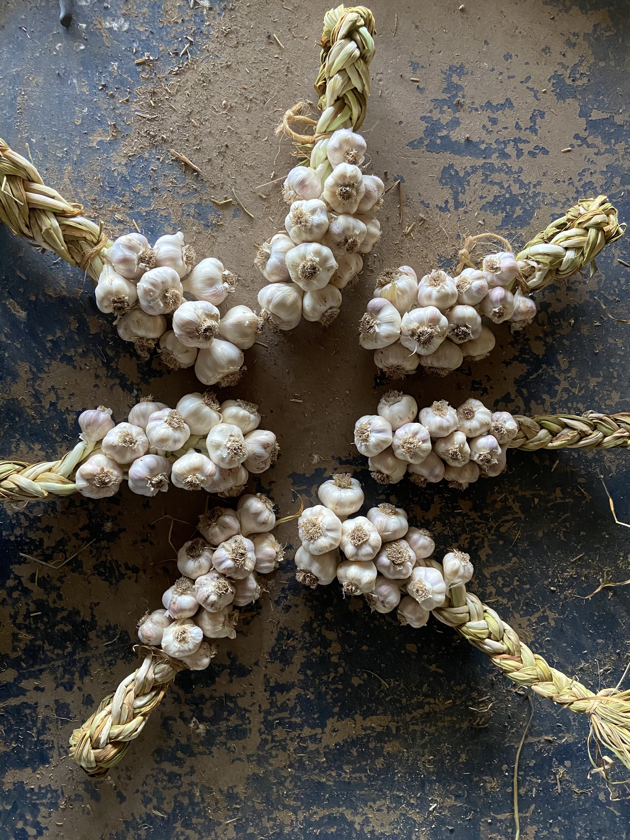 garlic braids.jpg