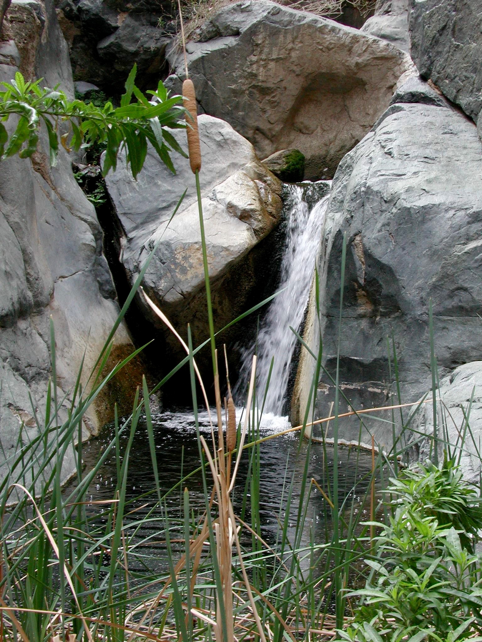 Pool At Darwin Falls