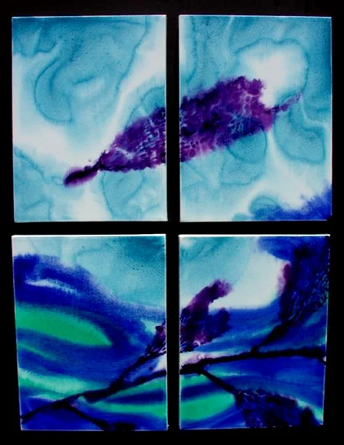 Kelp Study 26