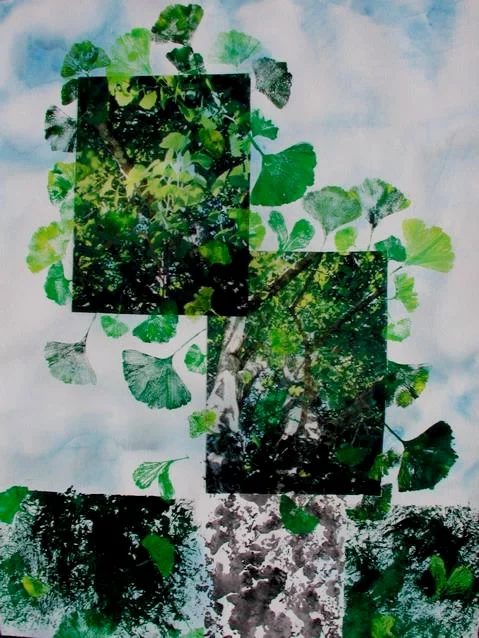 Ginko & Lawn