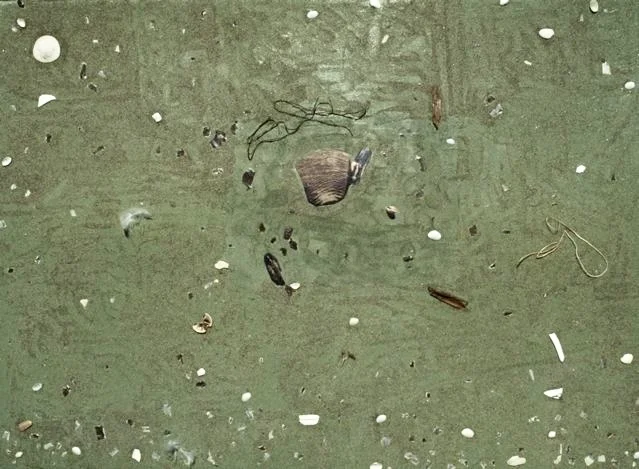 Intertidal I