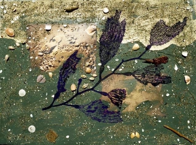 Intertidal II