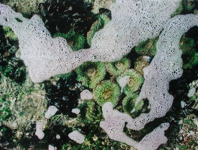 Foam 21