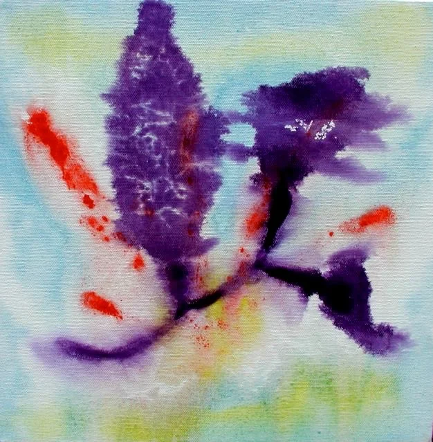 Kelp & Red Coral