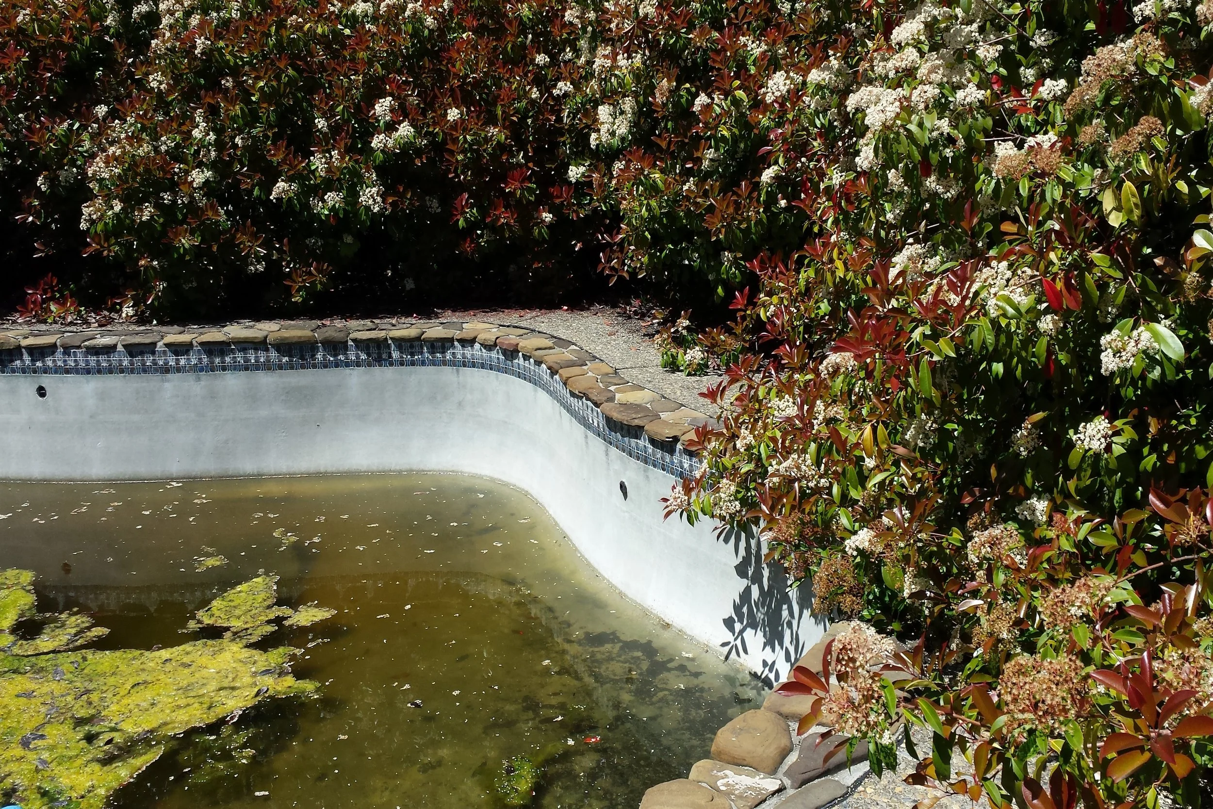 20140417_124542.jpg