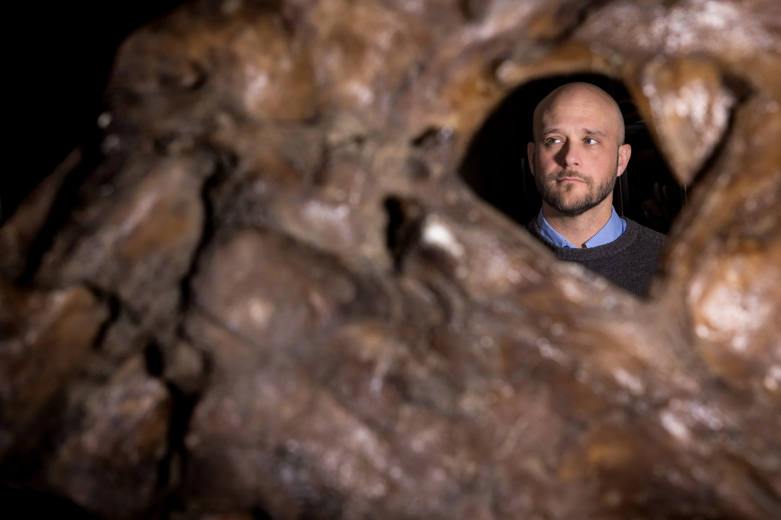  Ashley Poust, Voorhies Endowed Curator of Vertebrate Paleontology for the University of Nebraska State Museum,   stands behind a cast of the upper jaw of a Tyrannosaurus rex, one of the largest specimens known. 