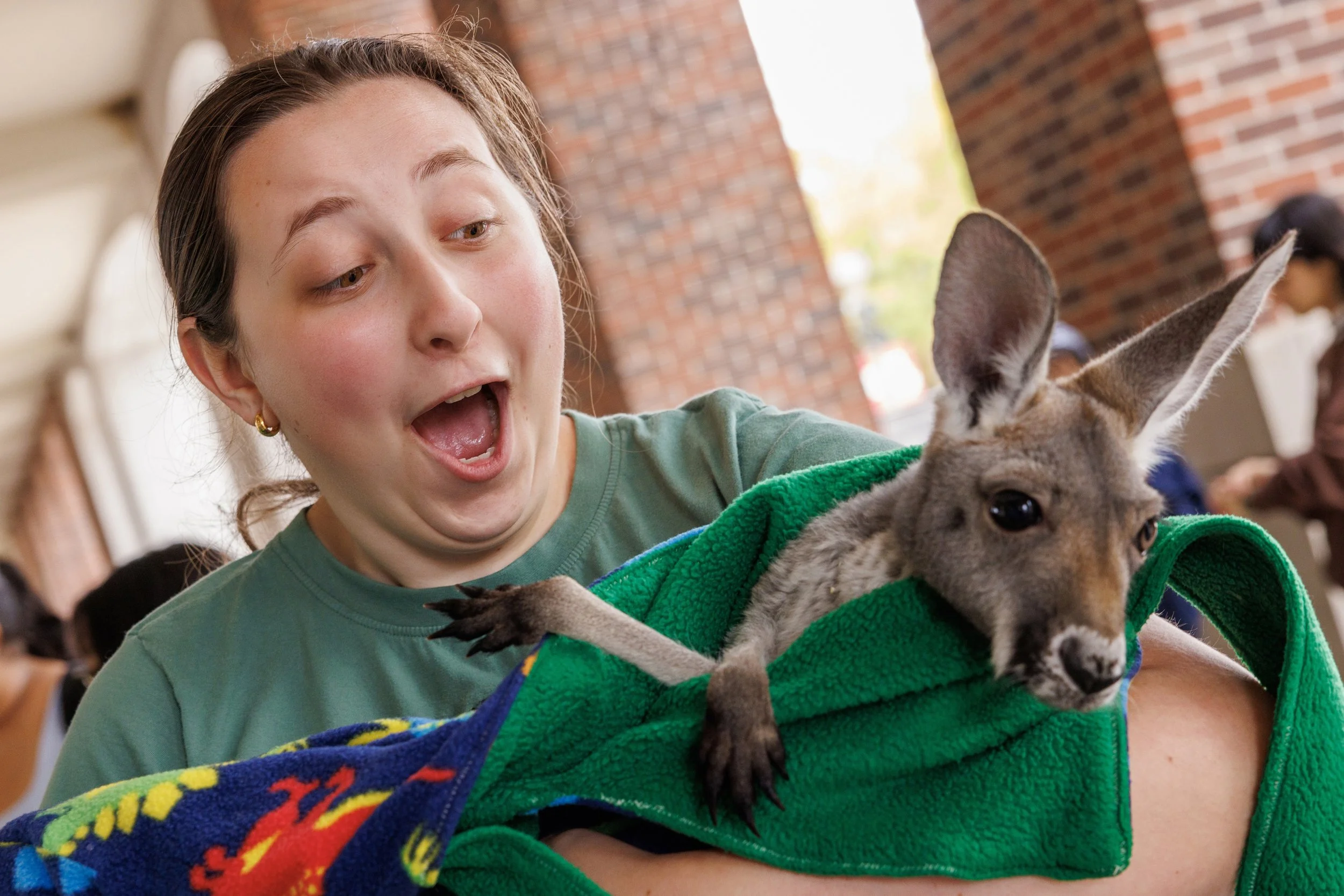 250917_Wildlife Encounters_001.jpg