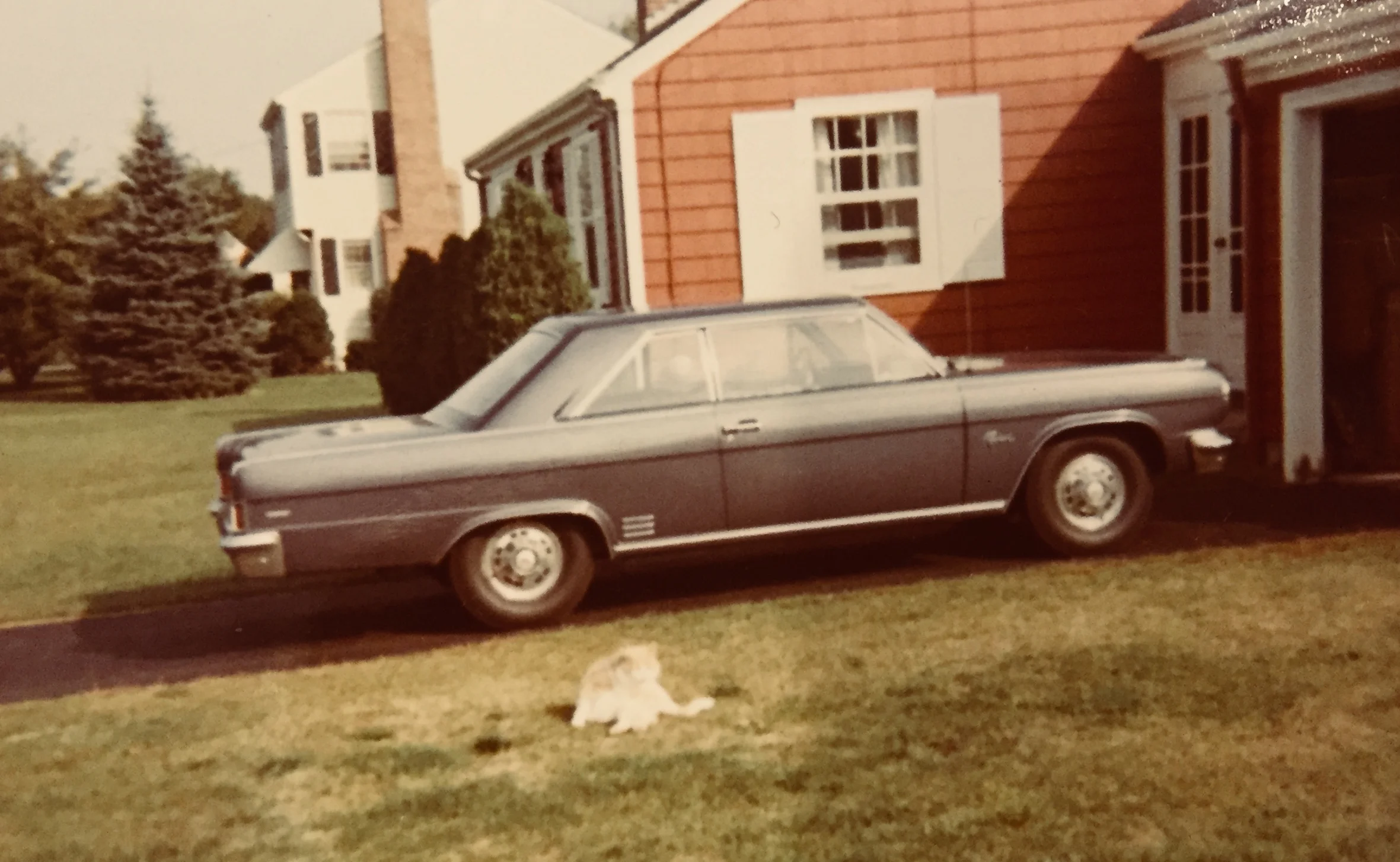 Mom's ill-fated '66 Rambler Rebel