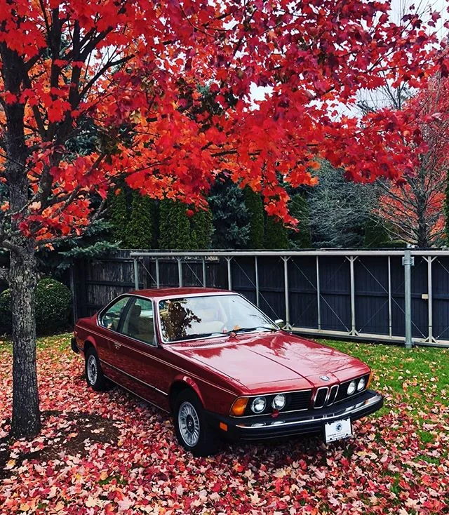 Just arrived 1977 BMW 630CSi manual trans, 66k original miles, like new, see more pix on web site!