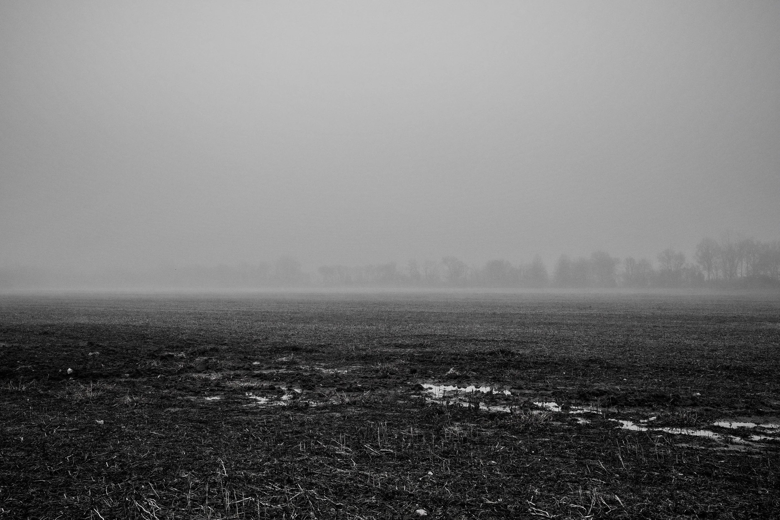 Winter Field in Fog.jpg