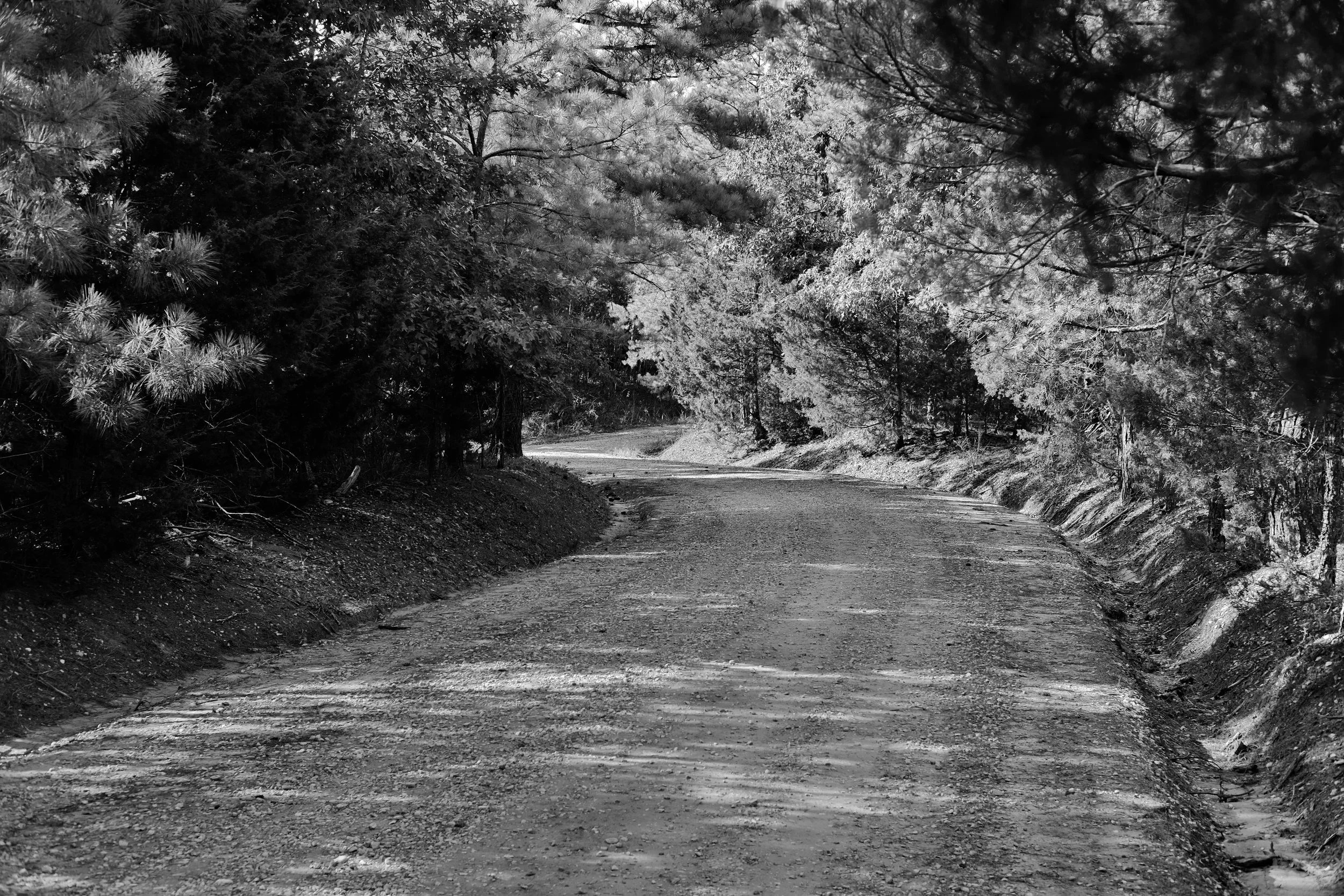 DSCF0281bw.JPG