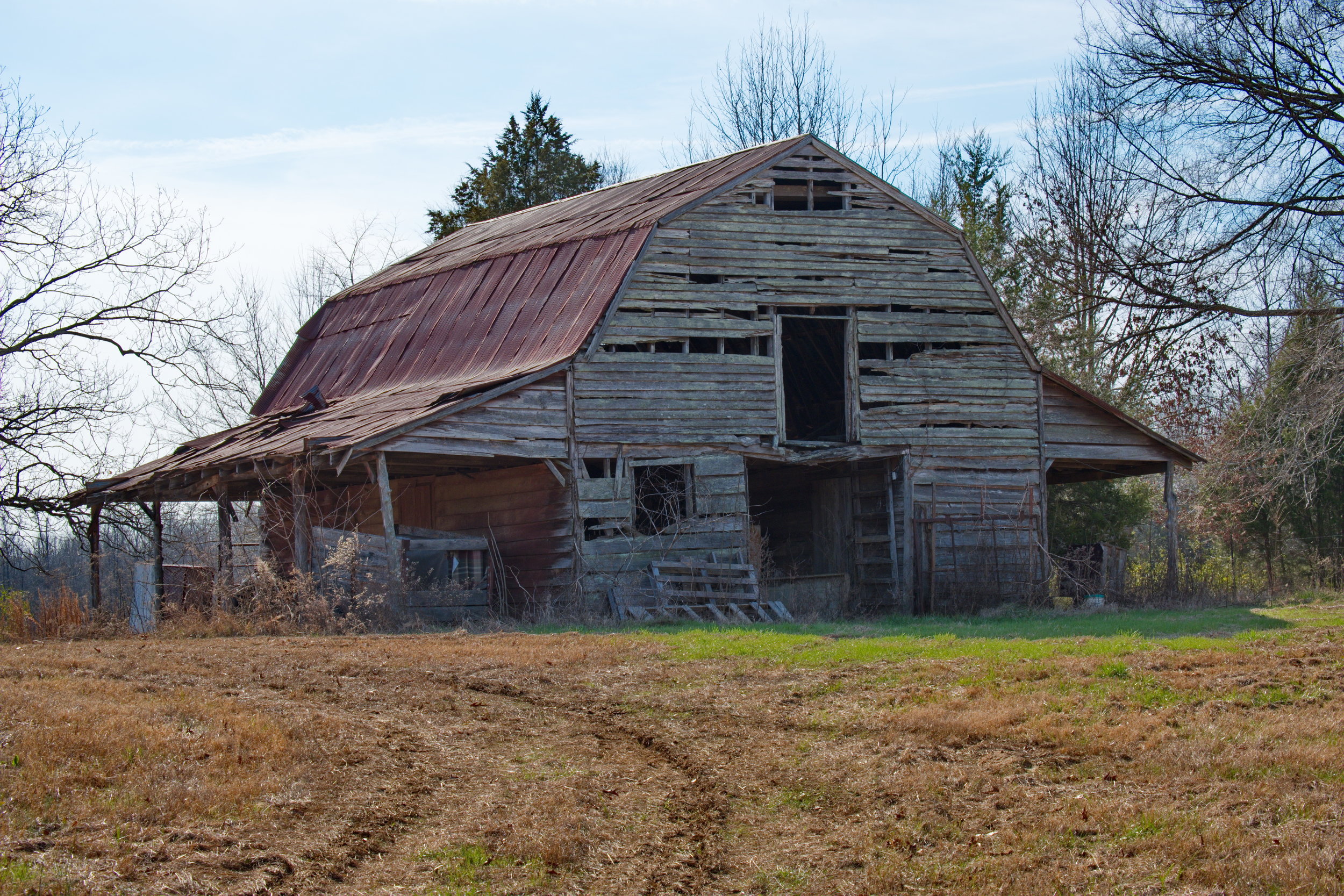  Old barns always make for good subjects 