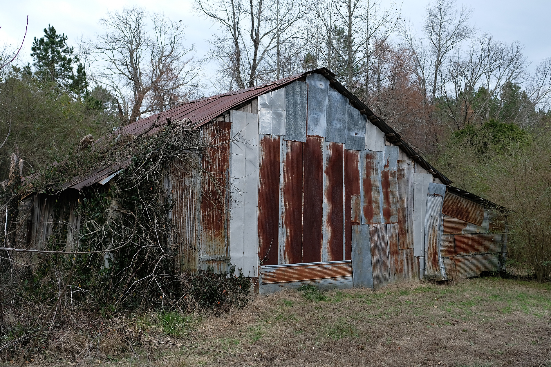  Old shed on County Road 164 in Union County 