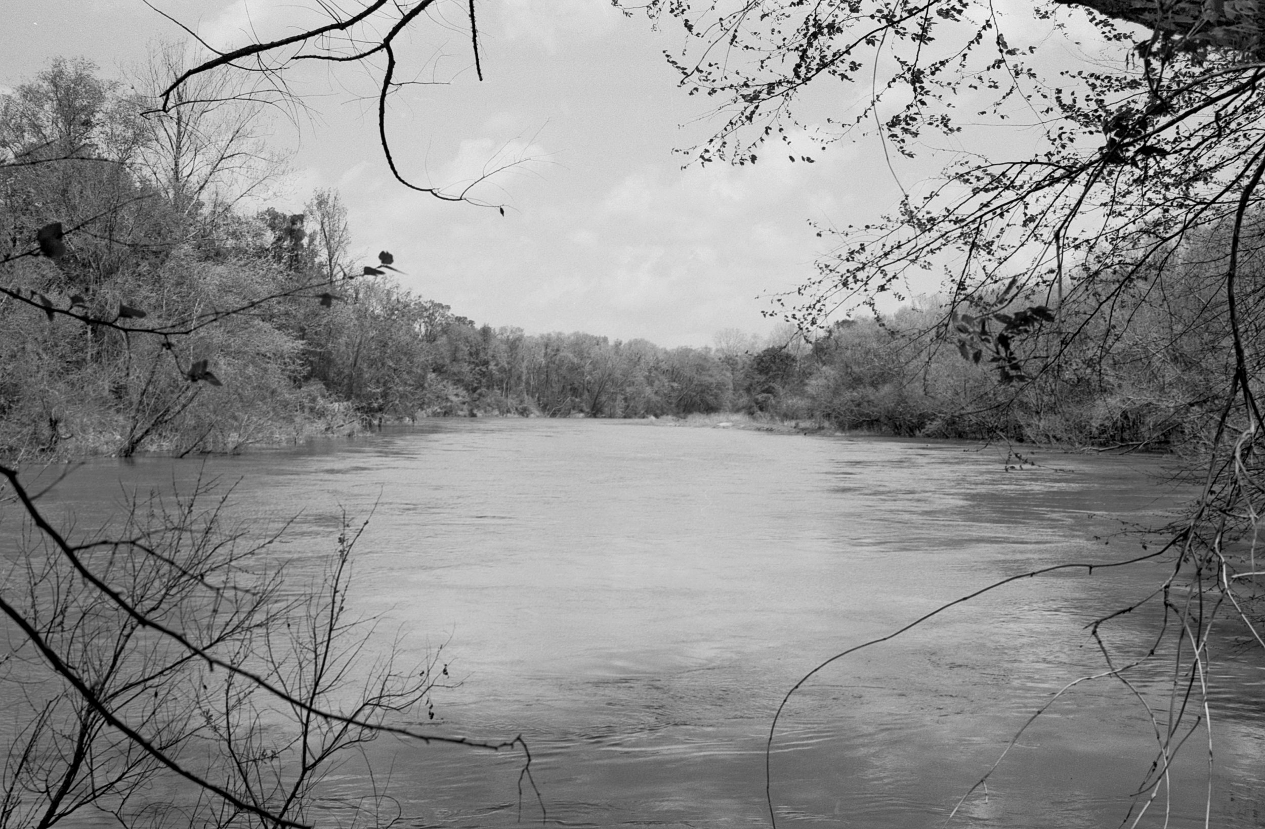  Tombigbee River near Amory, Mississippi - captured using a Canon AE-1 Program camera with an FD 35mm f/2.8 lens on Fuji Neopan Acros 100 film, developed with Ilfosol-3 and then scanned using an Epson V850 flatbed scanner 