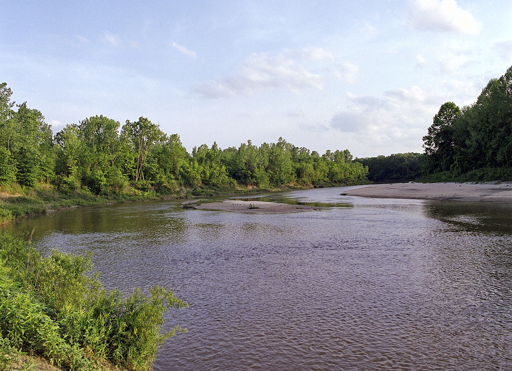 Town Creek in Monroe County, Mississippi, looking downstream from opposite Peacely Ferry Road. &nbsp;Captured on Fujifilm Pro 400H roll film using a Pentax 645A medium format camera and Pentax 45mm f/2.8 lens. 