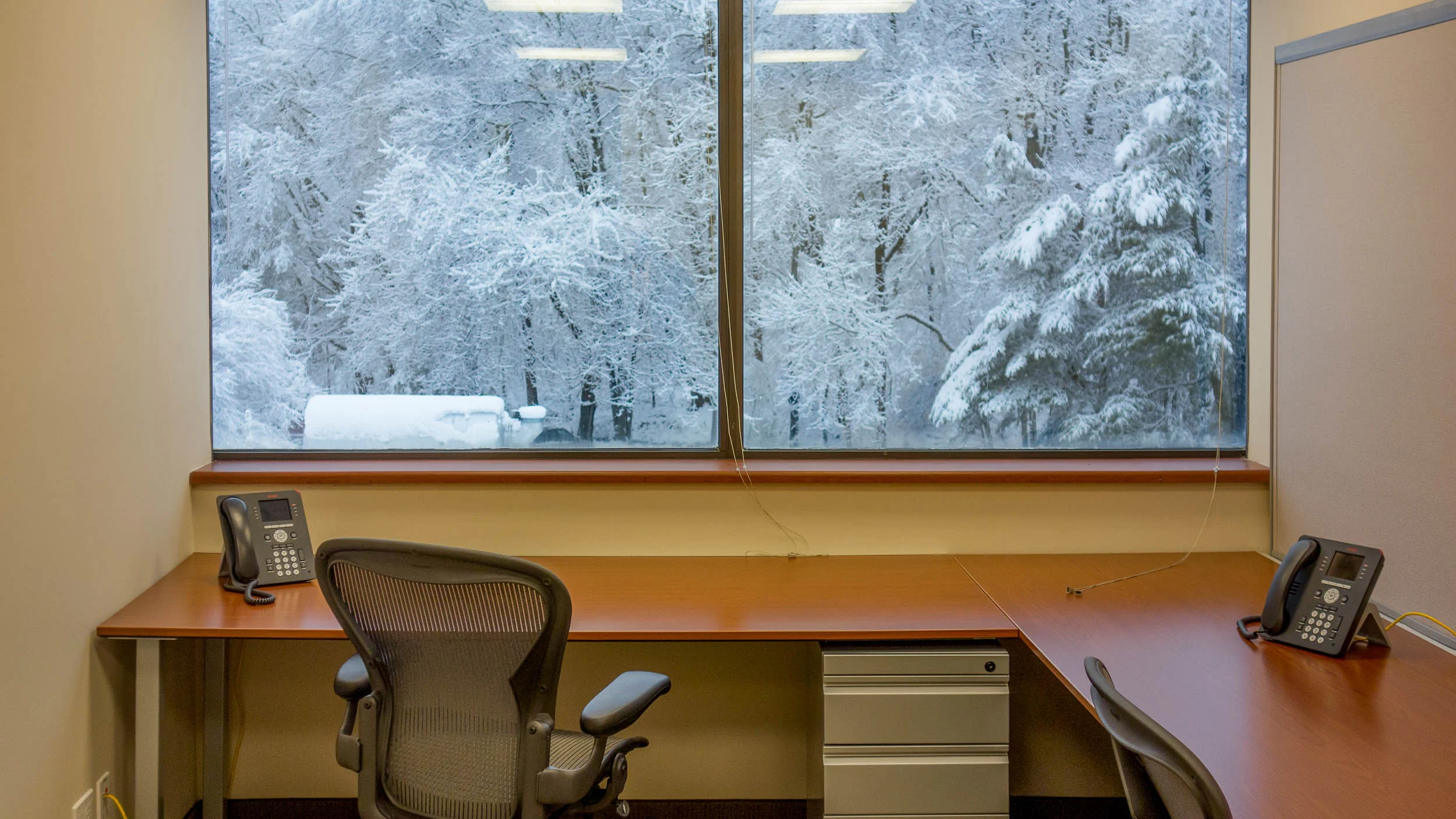 Team Workspace 3377.jpg
