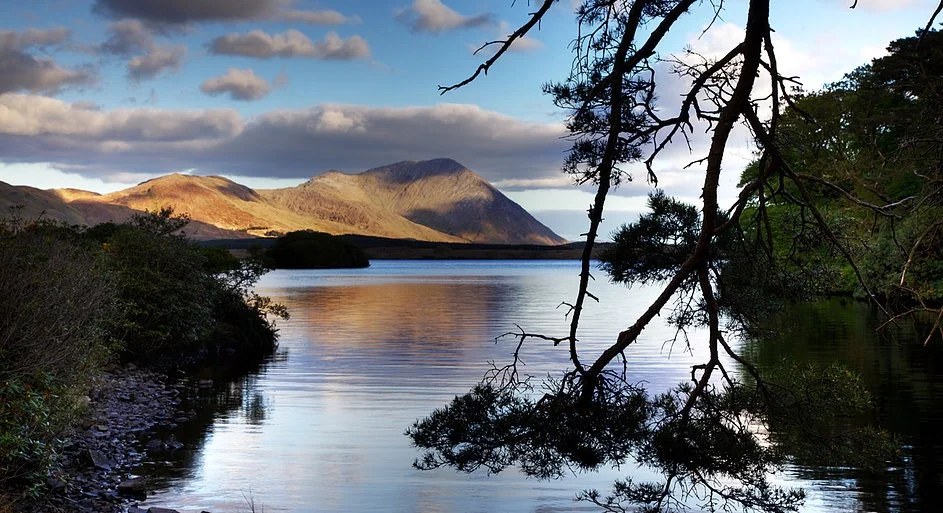 Connemara Pub Tours is a tour operator offering pub, bar and restaurant tours in Connemara, Galway, Ireland