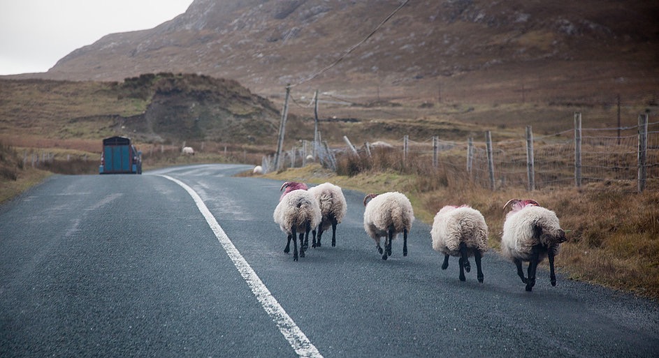 Connemara Pub Tours is a tour operator offering pub, bar and restaurant tours in Connemara, Galway, Ireland