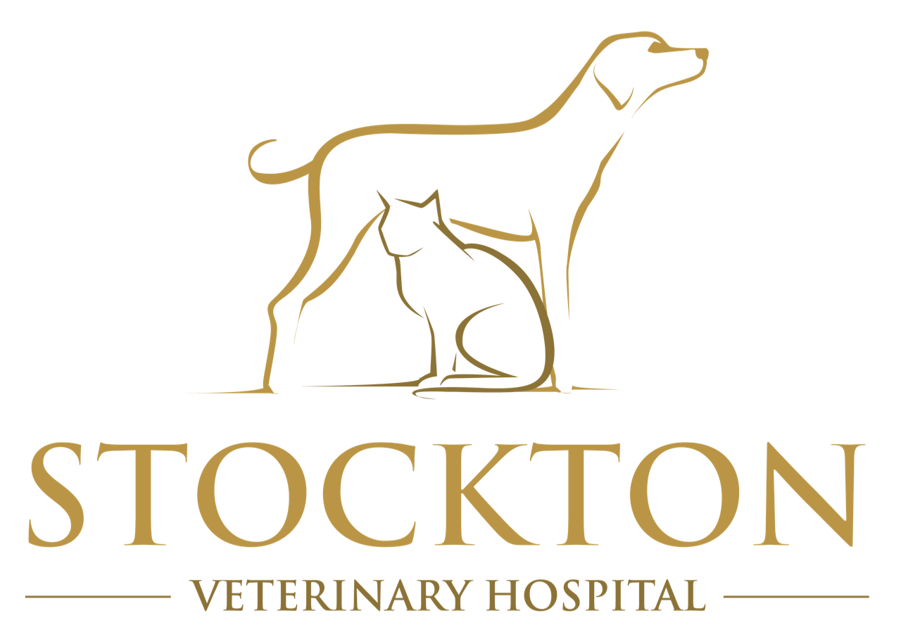 Stockton Vet Hospital