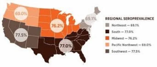 This image depicts he "seroprevalence" of Leptospirosis (the level of a pathogen in a population, as measured in blood) in the United States.