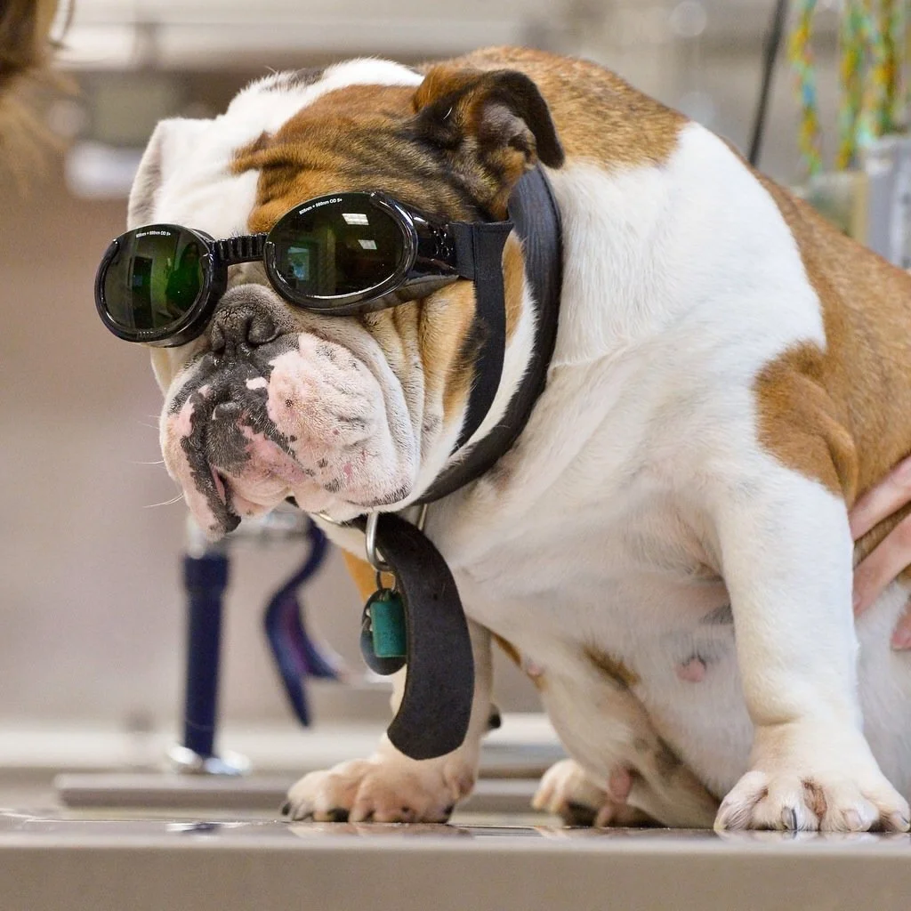 Laser Therapy.... Healing Without Harm