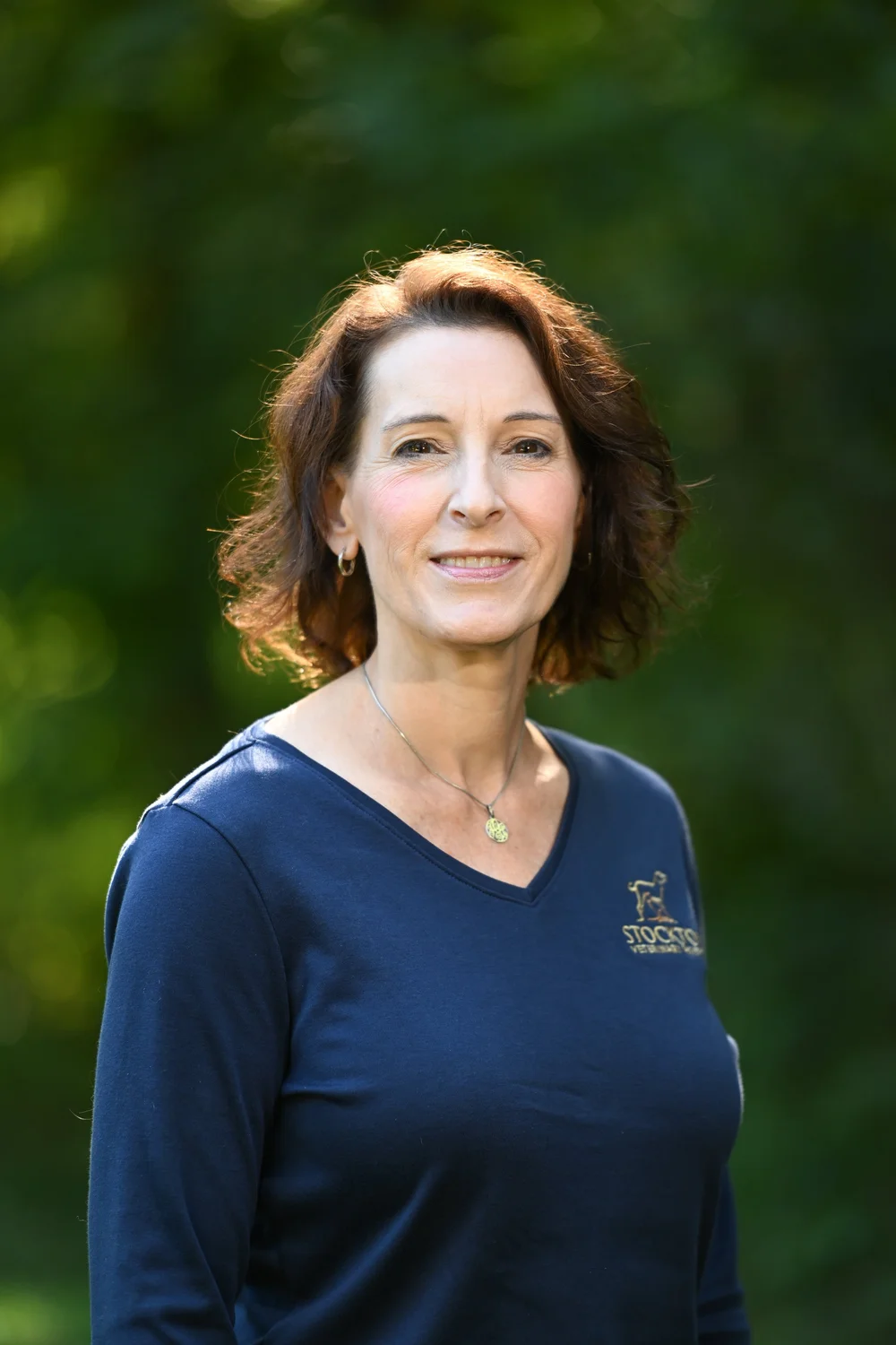 About — Stockton Vet Hospital