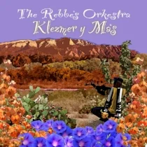 The Rebbe Orkestra CD.jpg