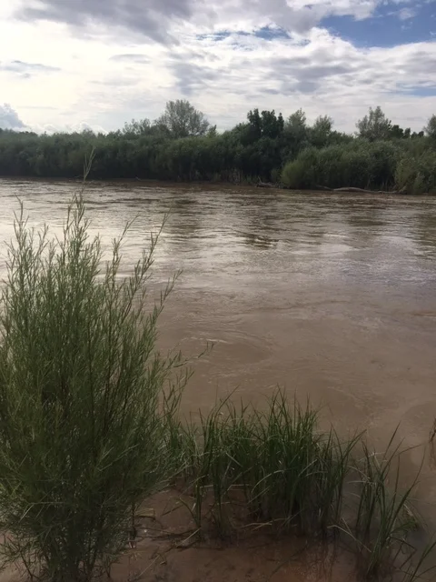 Tashlich at the Rio Grande