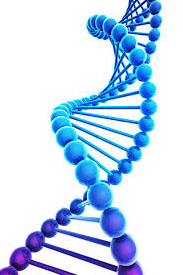 2019 Jewish DNA &amp; Genealogical Workshop