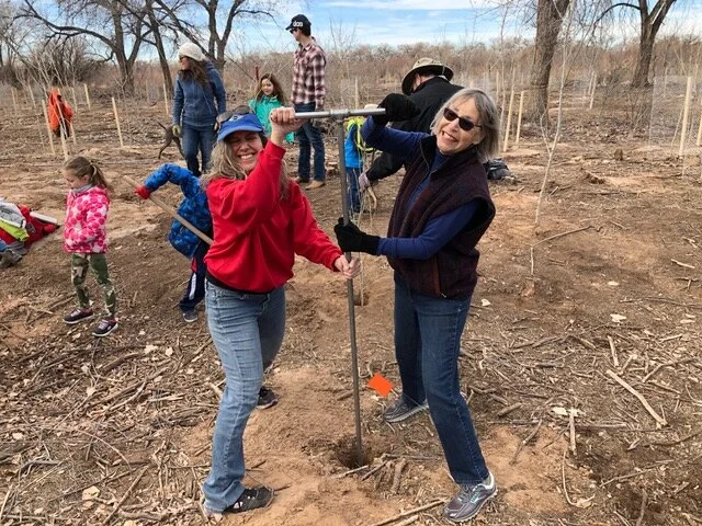 Tree planting NS 5.jpeg