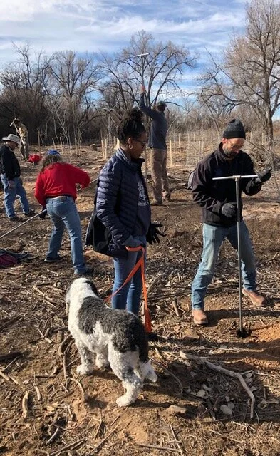 Tree planting NS 3.jpeg