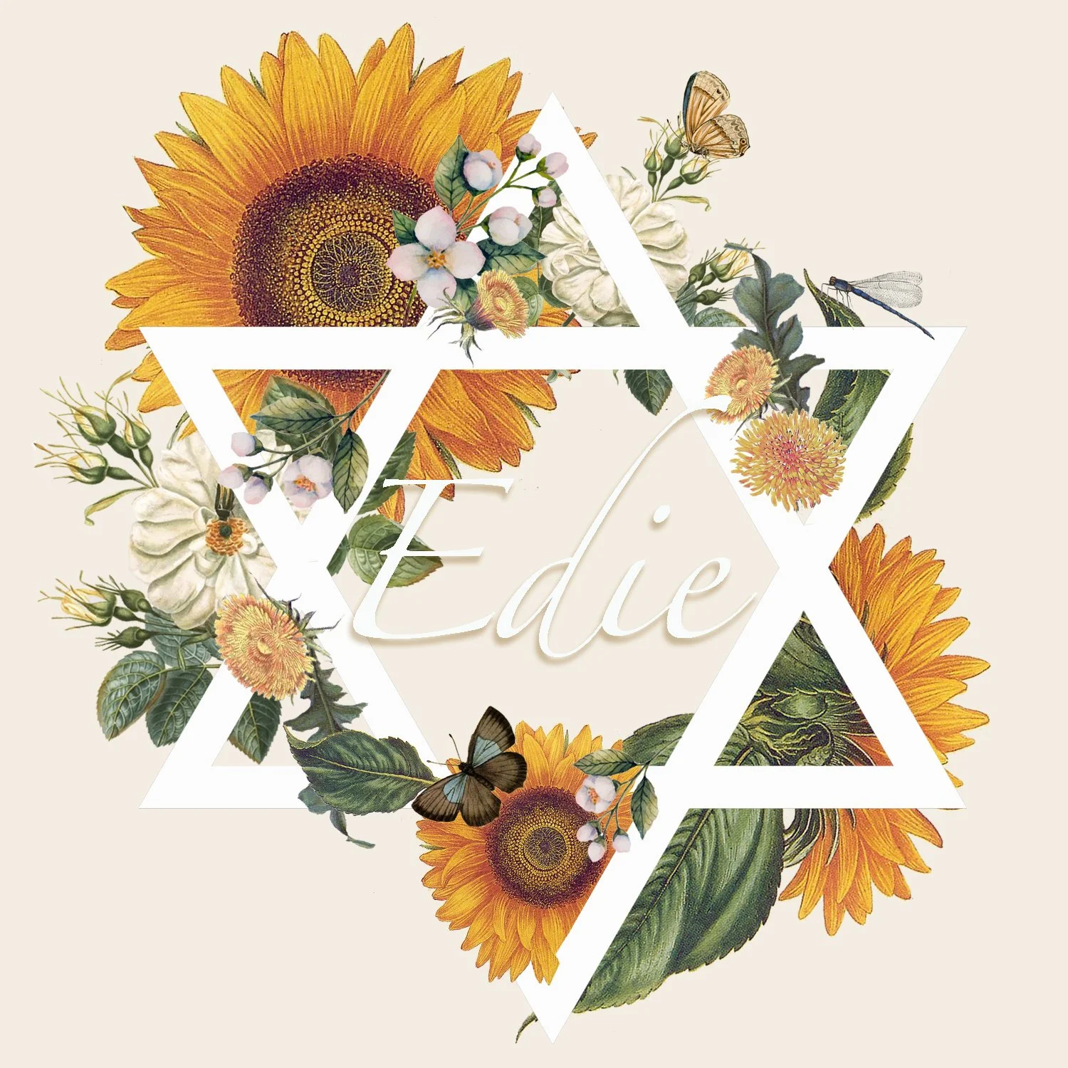 Edie Brown Bat Mitzvah with Rabbi Deborah Brin and Cantor Beth Cohen