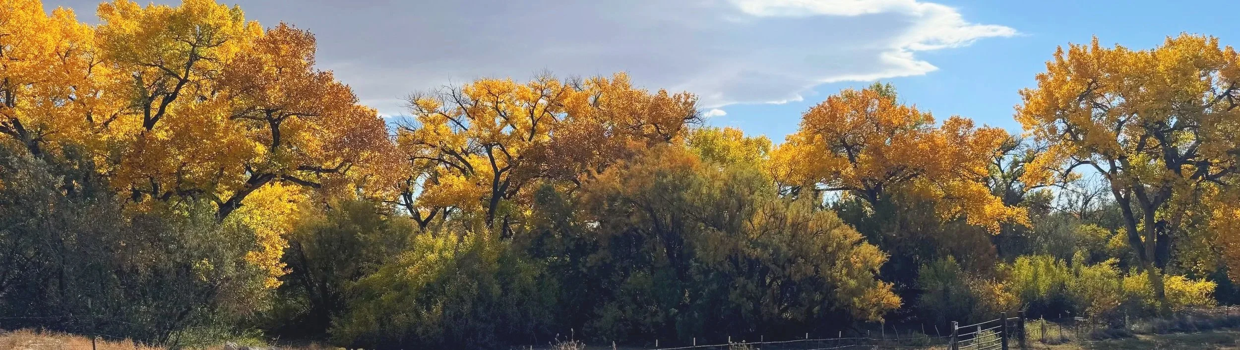 cottonwoods_Raul Rivera funeral.jpg
