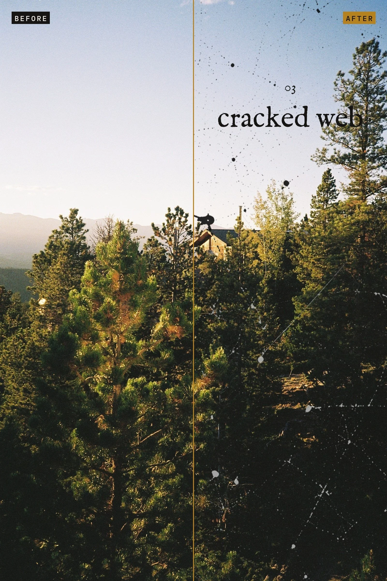 04-texture-03-cracked-web.jpg