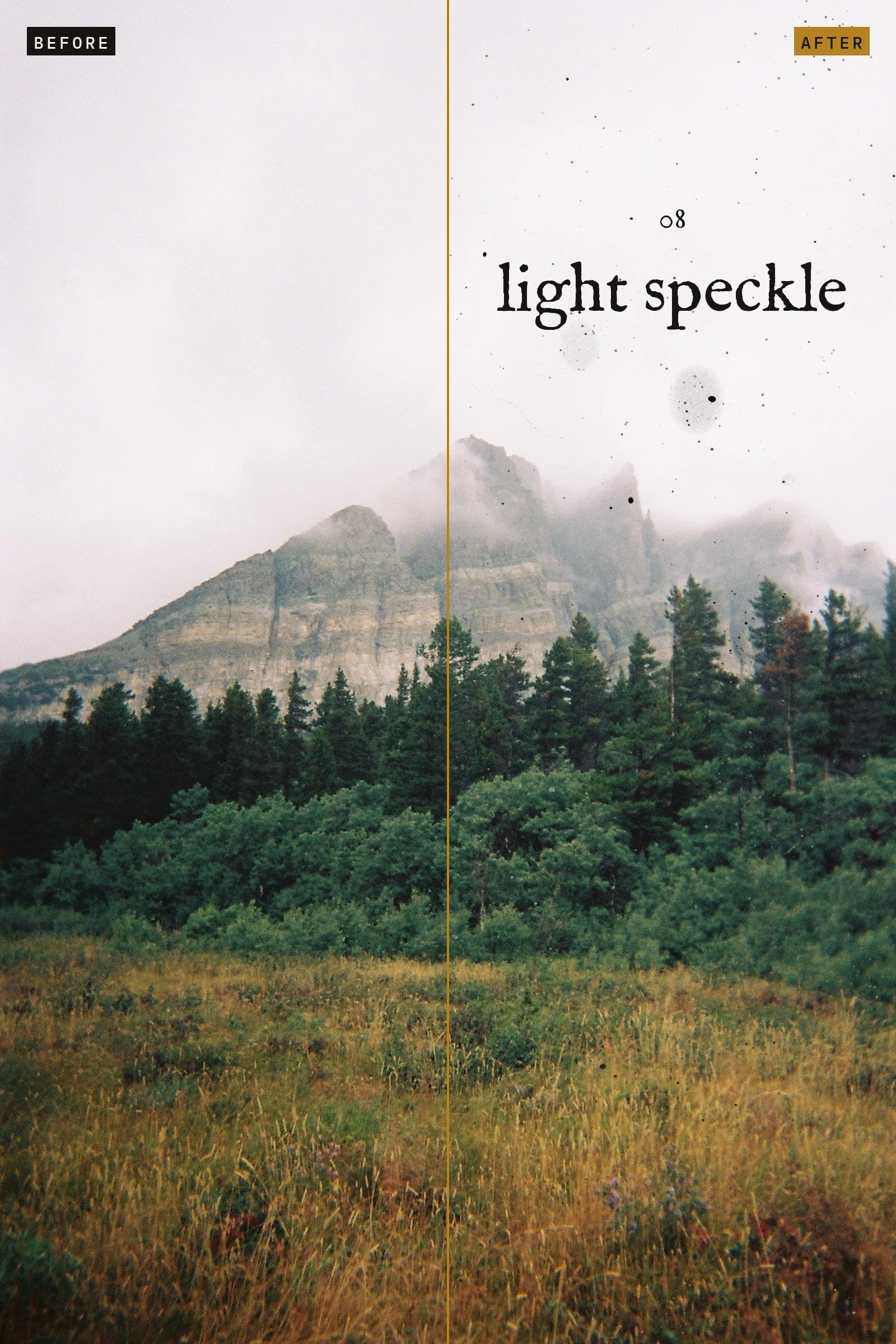 09-texture-08-light-speckle.jpg