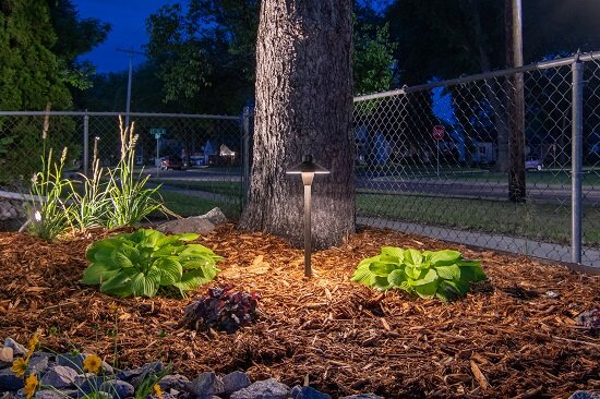 landscape_light_tree.jpg