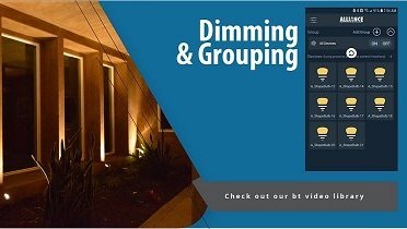 Alliance Dimming & Grouping.JPG