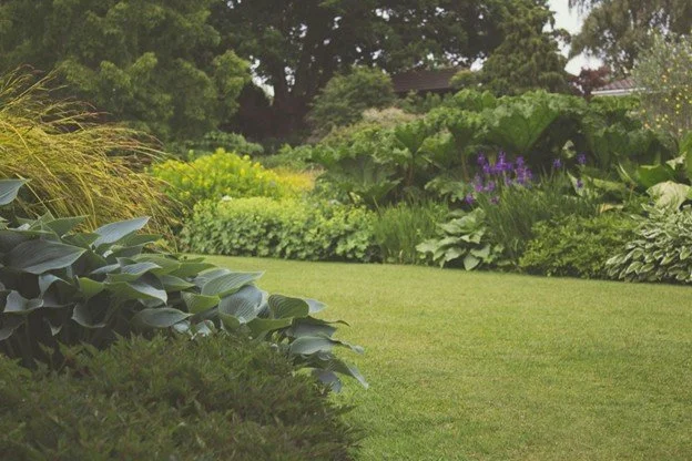 Effortless Excellence: How to Create an Award-Winning Yard This Summer with a Packed Schedule