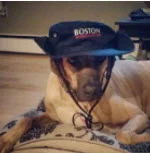 hat.jpg