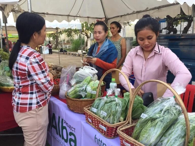 Project Alba produce for sale at a vegetable market. Credit: Project Alba